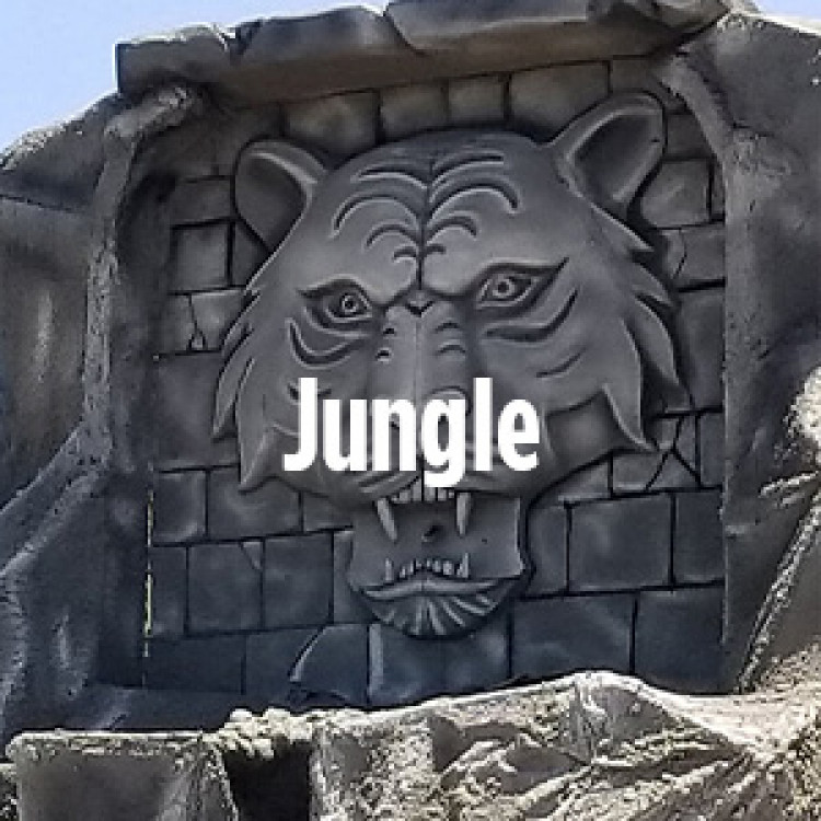 Jungle