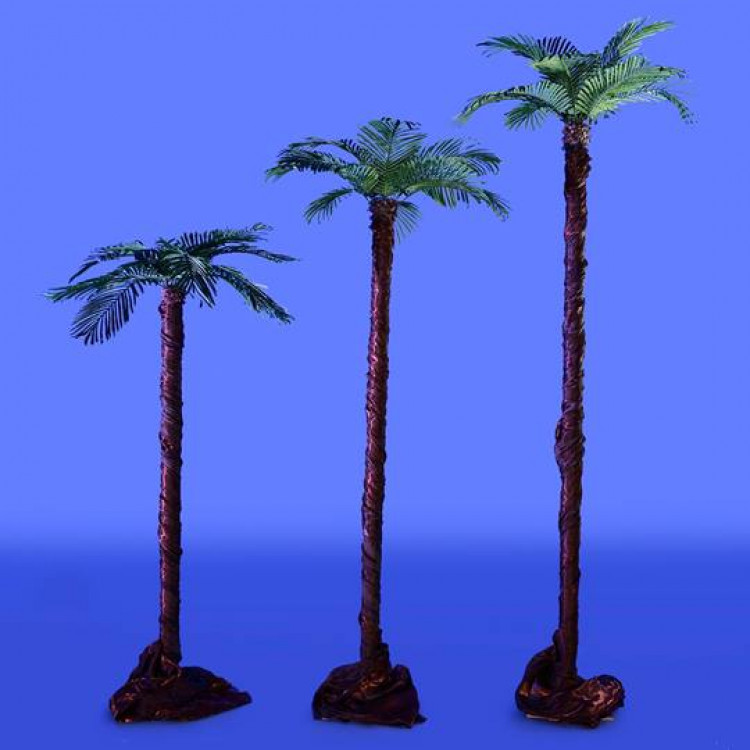 Palm Trees