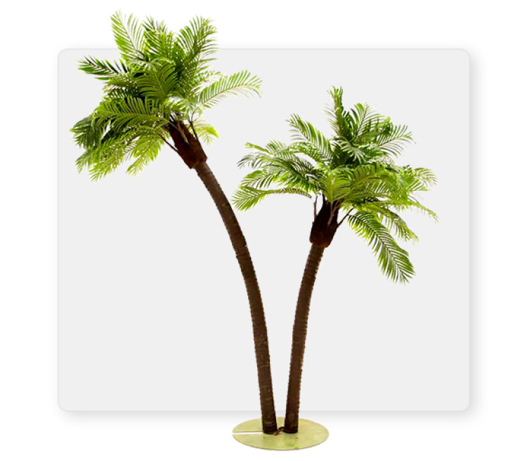 Palm Tree