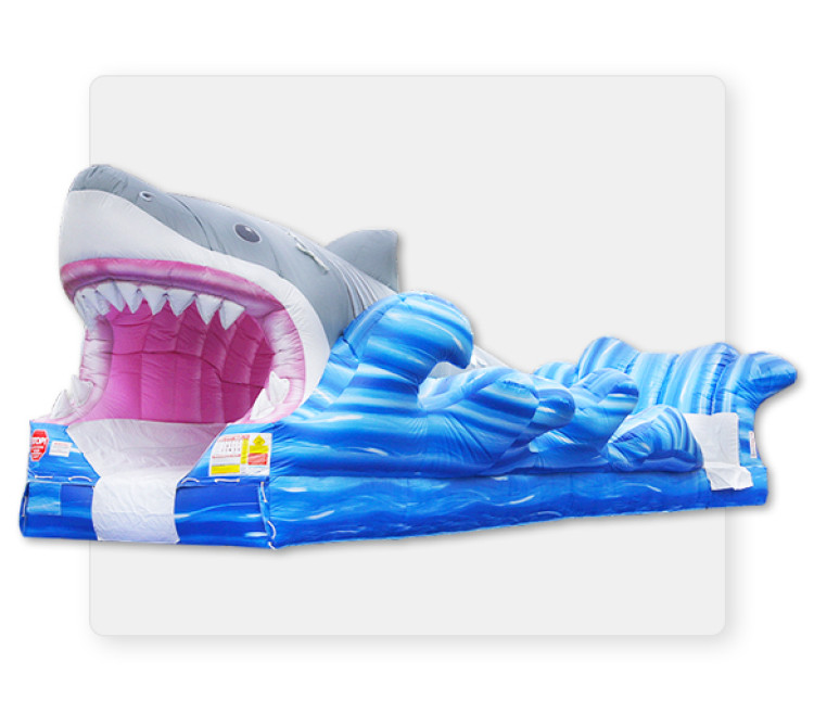 Shark Bite Surf And Slide