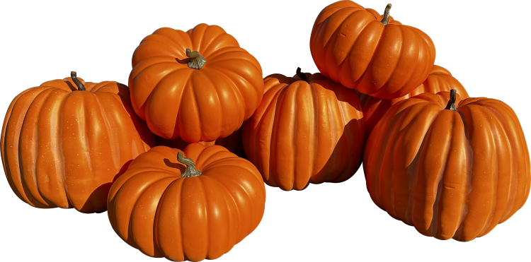 Large Pumpkin Grouping