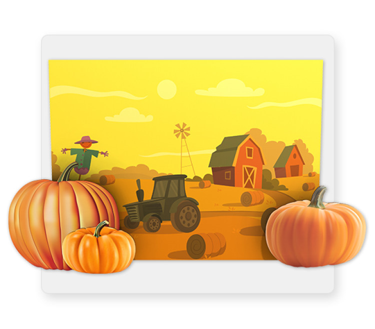 Pumpkin Photo Background 8'x10'